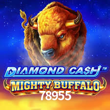 Bônus de Boas-vindas 78955