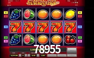 Sistemas de Segurança 78955